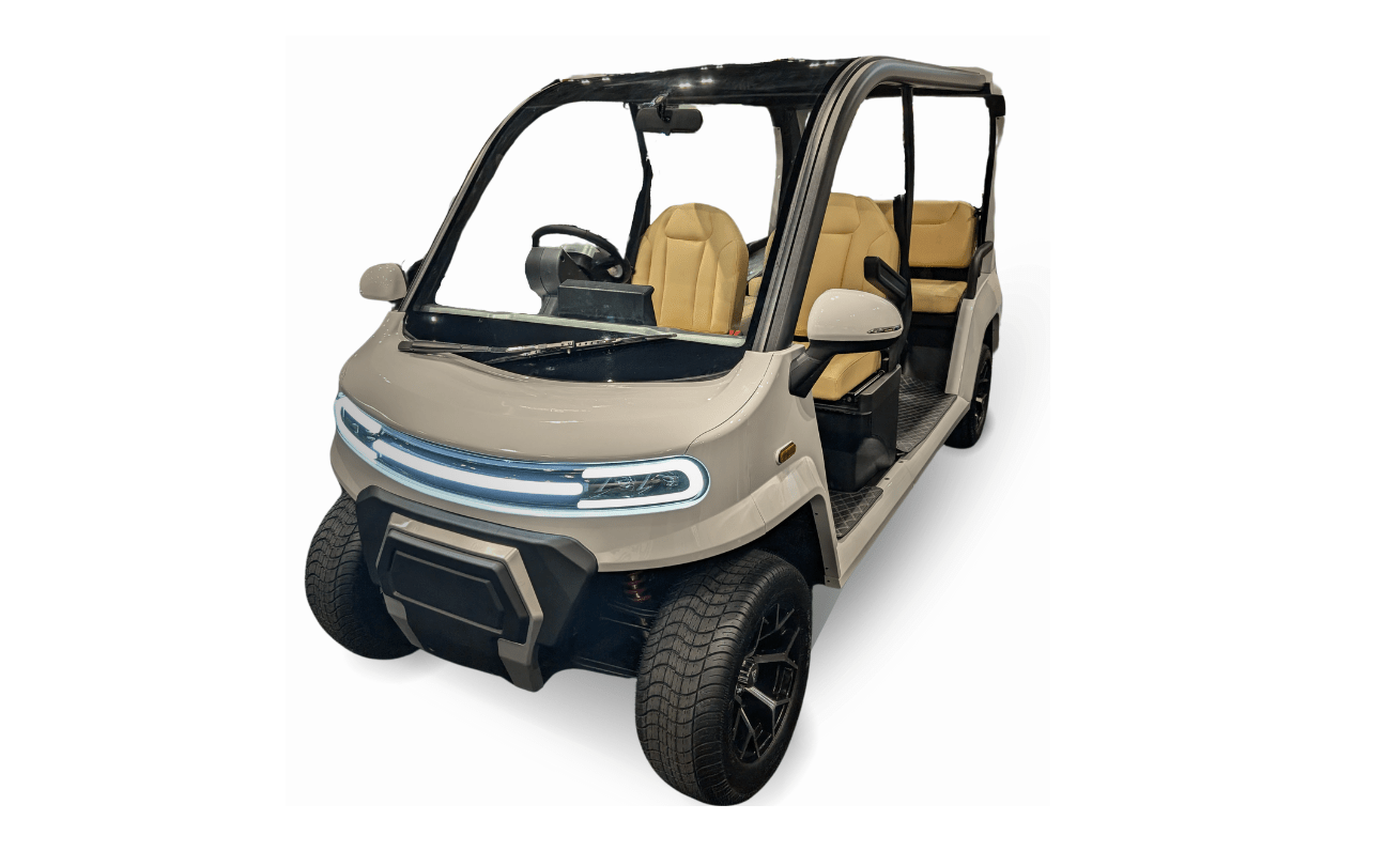 Carro de golf City Denago EV