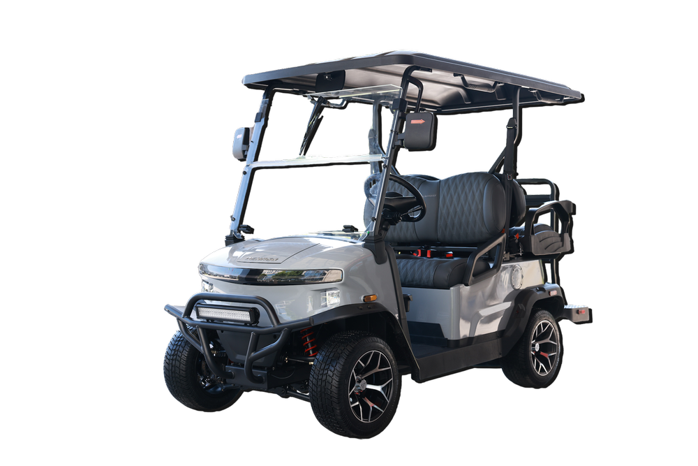 Denago EV Rover XL Gris